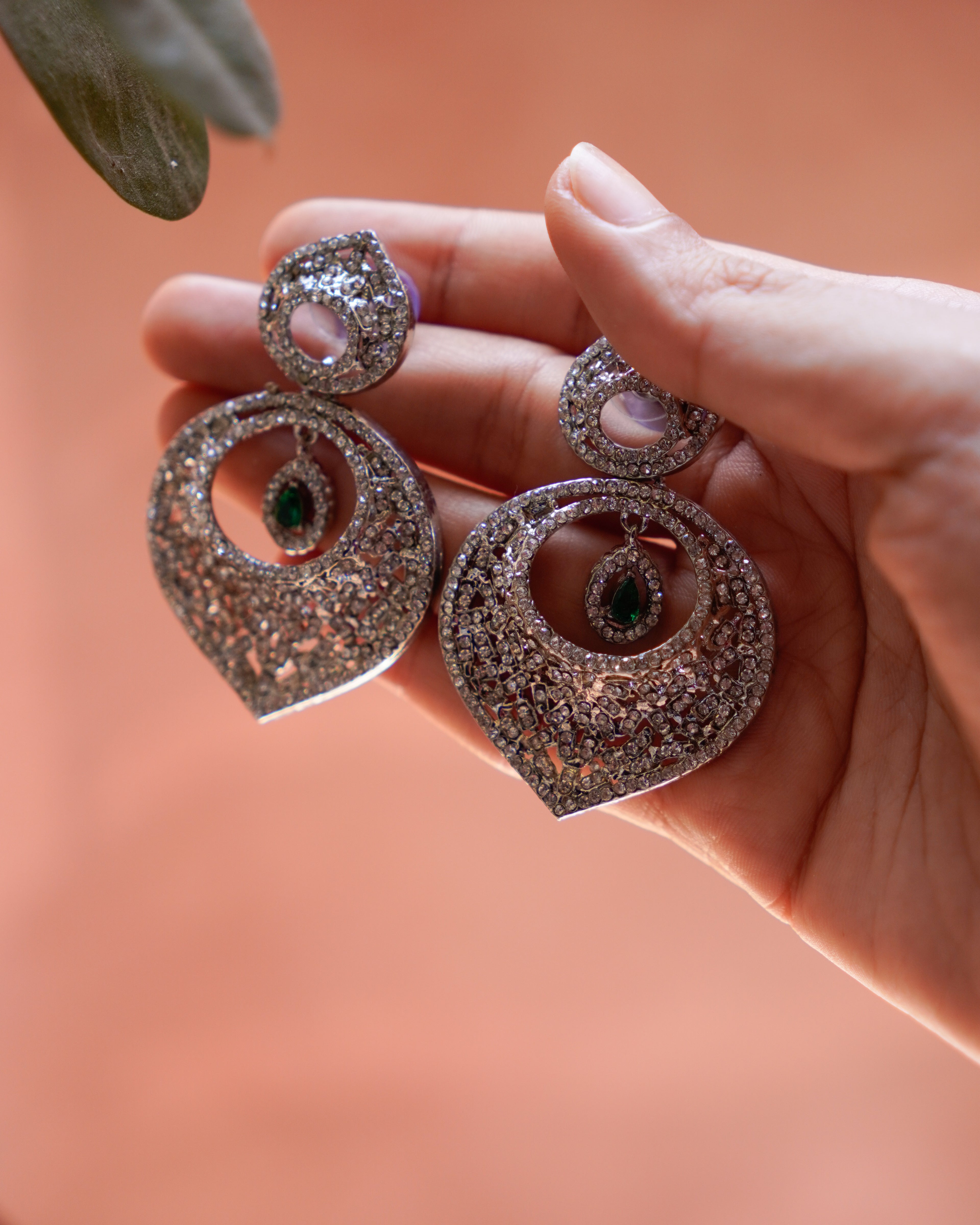 Elegant Silver  Drop Earrings