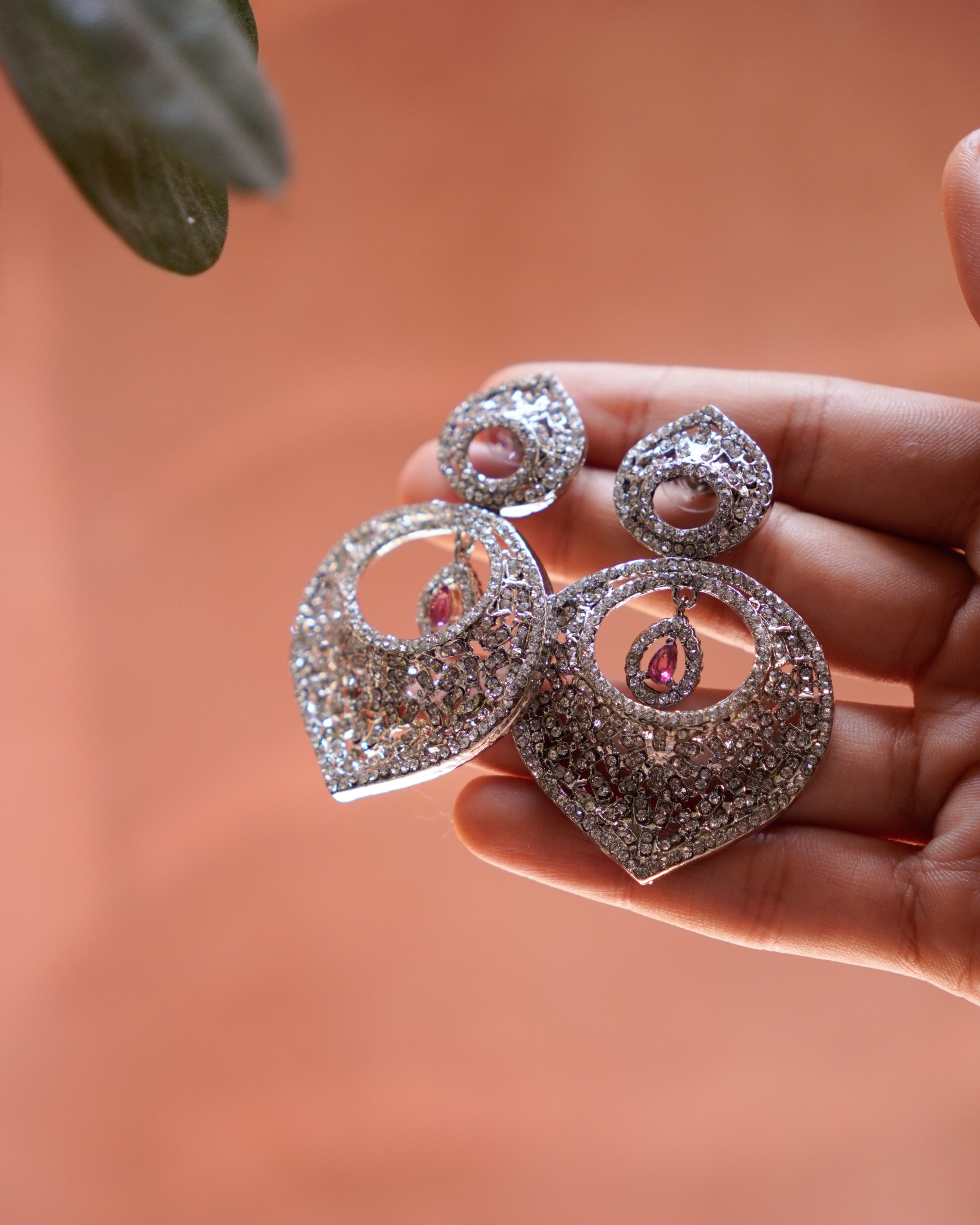 Elegant Silver  Drop Earrings
