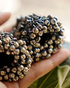 Anassa-Stunning Goddess Jhumka Earrings